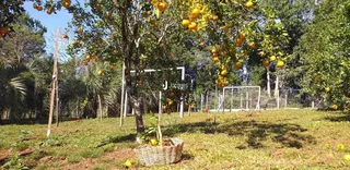 Área rural com 2 dormitórios, foto 21