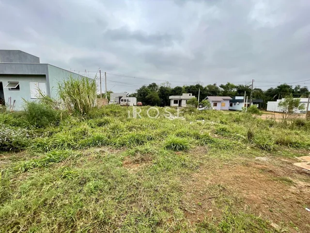 Terreno, foto 2