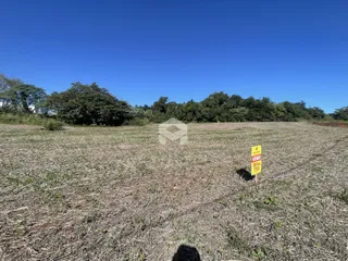 Vista aérea de um campo aberto com vegetação seca e árvores ao fundo.