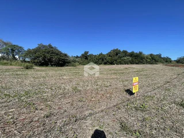 Vista aérea de um campo aberto com vegetação seca e árvores ao fundo.