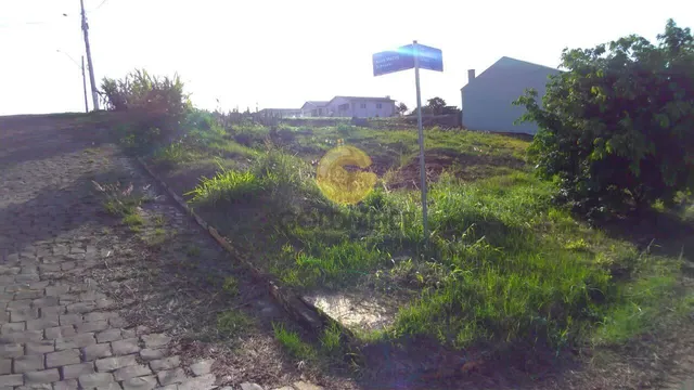 Terreno, foto 3