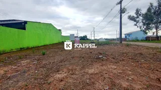 Terreno, foto 4