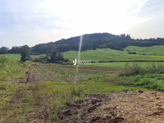 Vista aérea de campos verdes e colinas na região de Lajeado.
