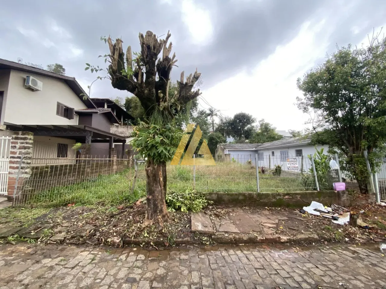 Terreno, foto 1