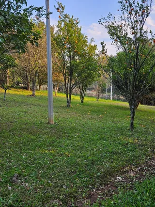 Área rural com 2 dormitórios, foto 18