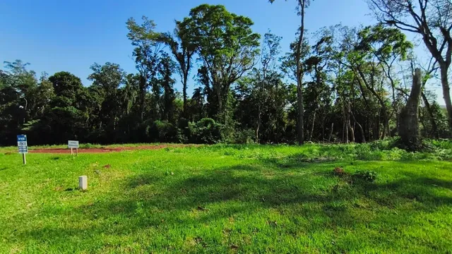 Terreno, foto 2