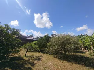 Terreno, foto 6