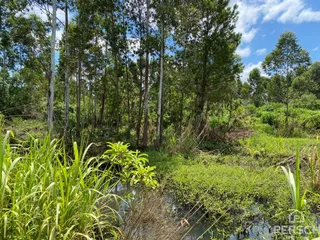 Área rural, foto 1