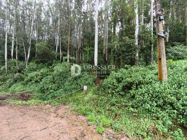 Área rural, foto 3