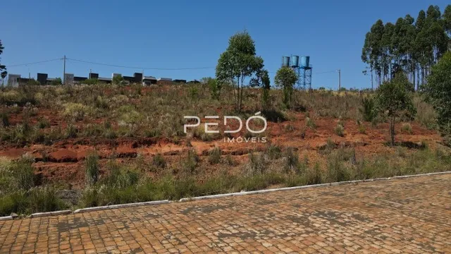 Vista da paisagem de vegetação seca e terreno no Brasil.