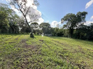 Paisagem de campo com vegetação e árvores sob um céu azul.