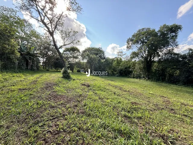 Paisagem de campo com vegetação e árvores sob um céu azul.