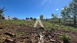 Terreno, foto 6