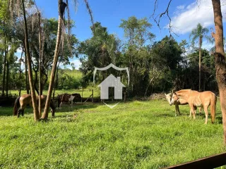 Campo gramado com cavalos no fundo.