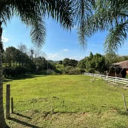 Vista de um gramado verde com árvores ao fundo.
