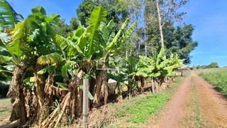 Área rural, foto 3