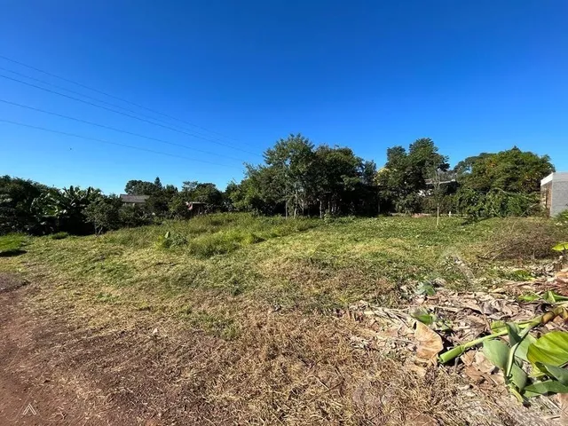 Terreno, foto 2