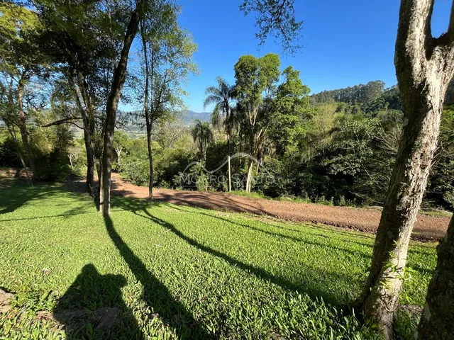 Paisagem externa mostrando um campo verde e árvores sob um céu azul.