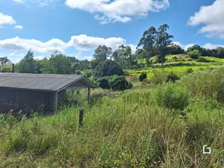 Vista da propriedade com vegetação densa e colinas verdes ao fundo.