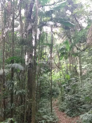 Área rural, foto 3