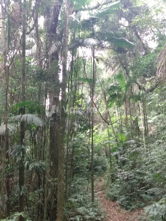 Área rural, foto 3