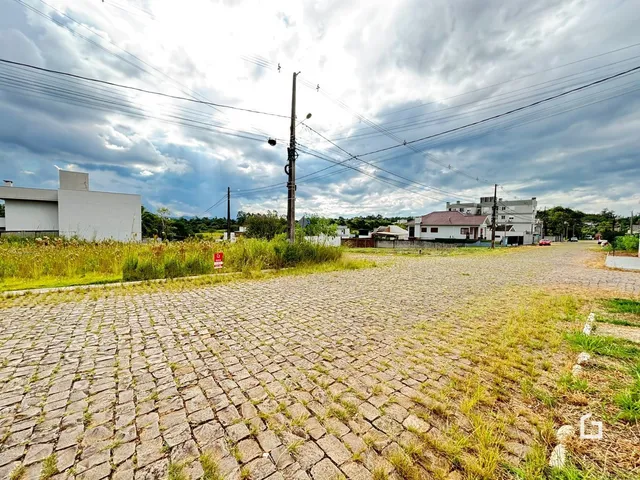 Vista externa de um terreno com pavimentação de paralelepípedos e vegetação seca.