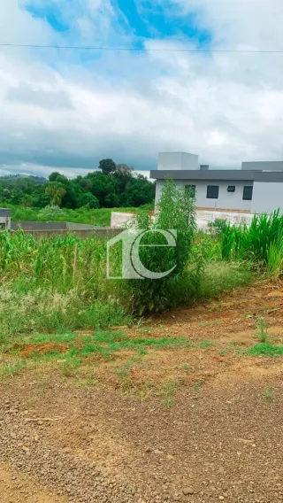 Terreno, foto 2