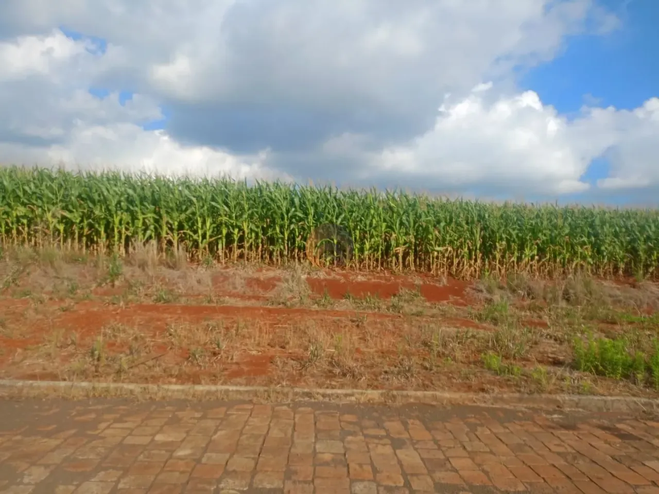 Terreno, foto 1
