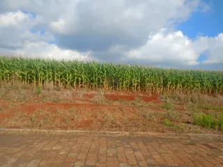 Terreno, foto 1