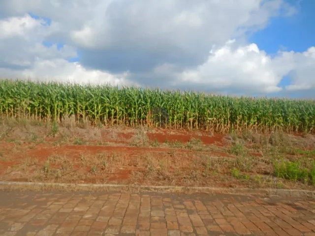 Terreno