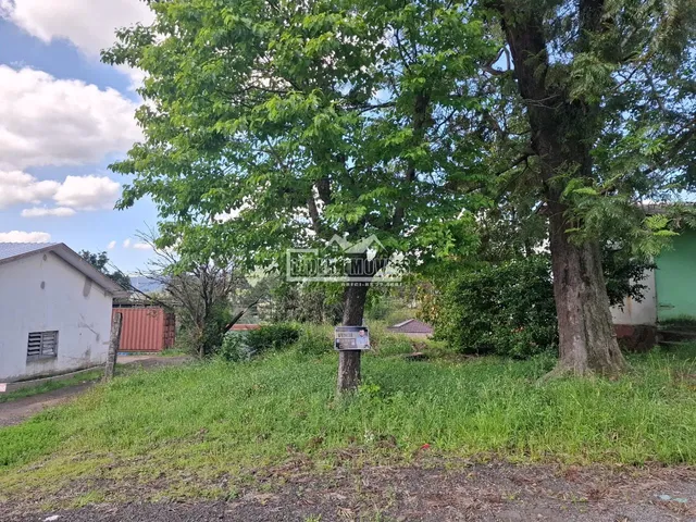 Terreno, foto 2