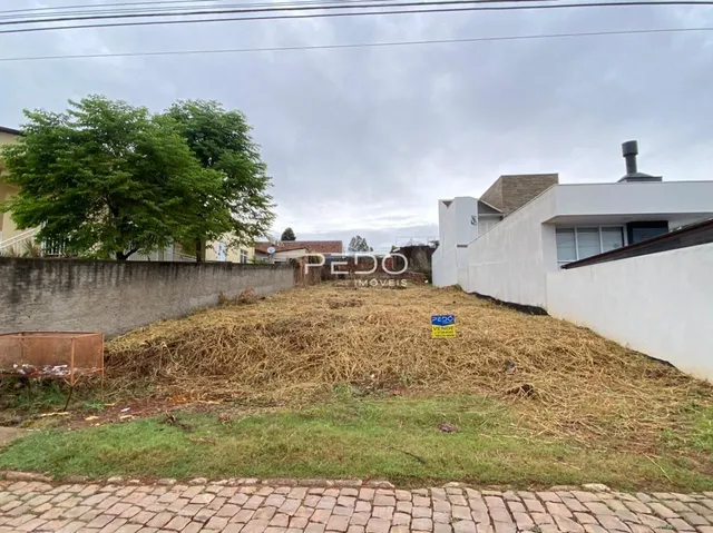 Terreno