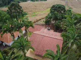 Área rural com 4 dormitórios, foto 25