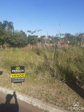 Terreno, foto 2