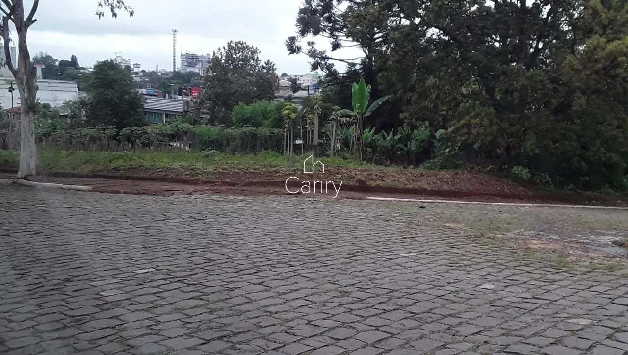 Terreno, foto 1
