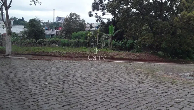 Terreno