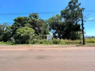 Vista da rua com vegetação e árvores ao fundo.