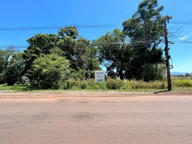 Vista da rua com vegetação e árvores ao fundo.