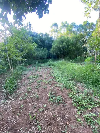 Área rural com 2 dormitórios, foto 16