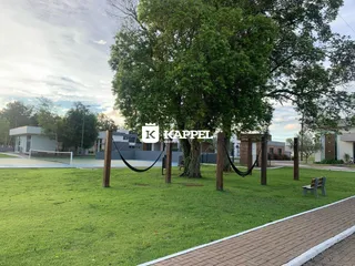 Vista externa de um jardim gramado com árvores e um caminho de tijolos na propriedade.
