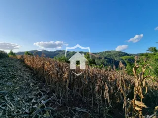 Área rural com 4 dormitórios, foto 15