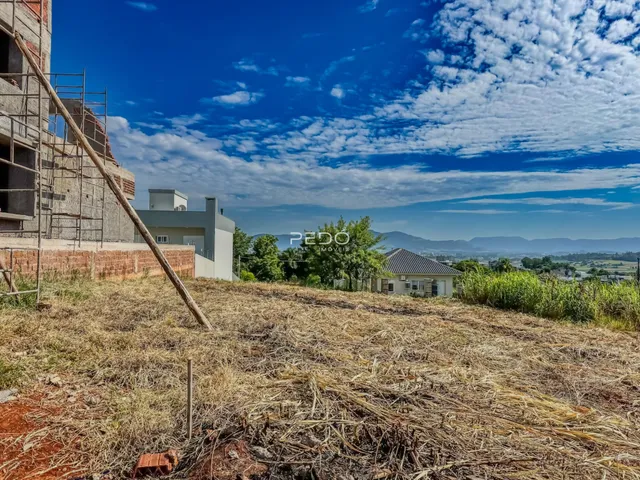 Vista de uma área em construção com vegetação seca em primeiro plano.