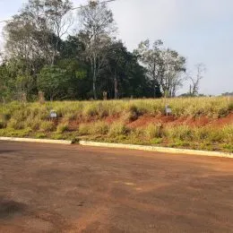 Vista externa mostrando vegetação seca e árvores ao ar livre em uma área de terra.