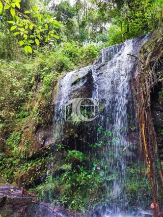 Área rural, foto 4