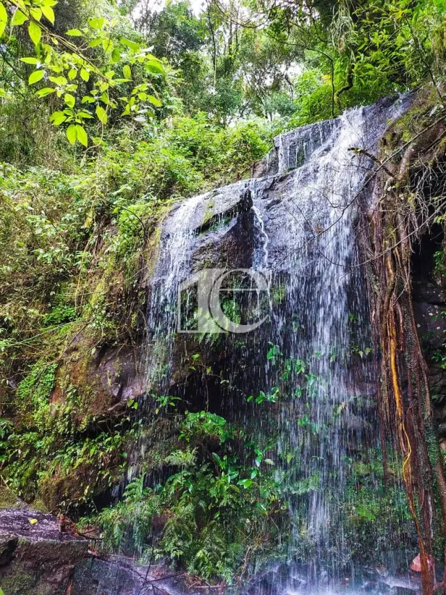 Área rural, foto 4