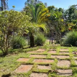 Vista de um jardim com grama seca e caminho de pedra no exterior.
