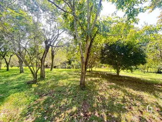 Área rural com 2 dormitórios, foto 19