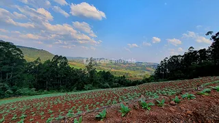 Área rural com 3 dormitórios, foto 20