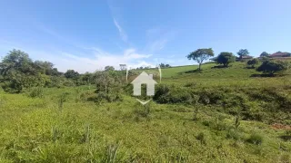 Vista de campo verde com vegetação densa em Lajeado.