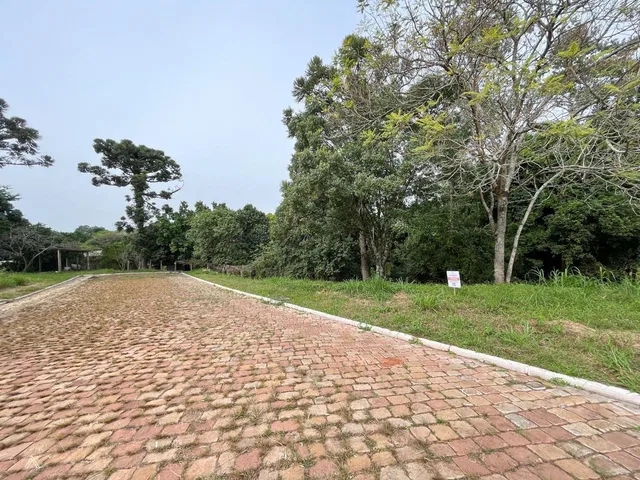 Terreno, foto 3